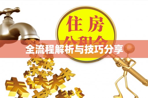 郾城全流程解析与技巧分享